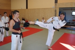 sommerschule_2013_blankenheim_-_taekwondo_20130806_1406025566