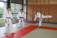 sommerschule_2013_blankenheim_-_taekwondo_20130806_1520841112