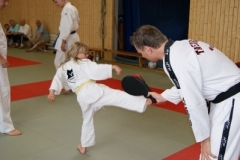 sommerschule_2013_blankenheim_-_taekwondo_20130806_1632651488