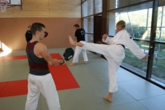 sommerschule_2013_blankenheim_-_taekwondo_20130806_1712879070