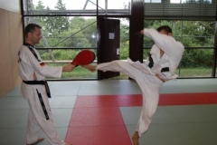 sommerschule_2013_blankenheim_-_taekwondo_20130806_1790026495