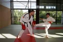 sommerschule_2013_blankenheim_-_taekwondo_20130806_1793936857
