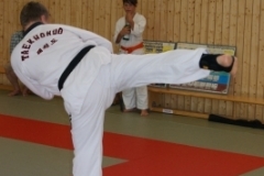 sommerschule_2013_blankenheim_-_taekwondo_20130806_1813468891