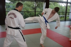 sommerschule_2013_blankenheim_-_taekwondo_20130806_2023850050