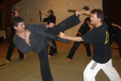 tonfa-mes_20130623_1970189401